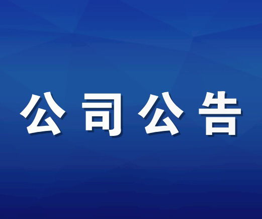 2021年年度报告摘要