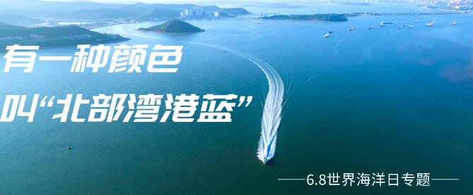 6.8世界海洋日 | 带你领略“北部湾港蓝”