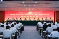 在新征程上展现新气象新作为丨中国共产党北部湾港股份有限公司党员代表大会